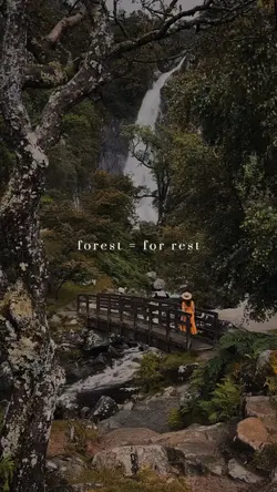 forest = for rest 