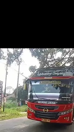 busmania
