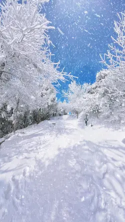 Snow Trend
