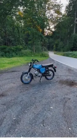 Simson