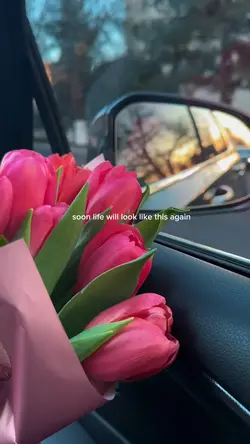 spring is coming