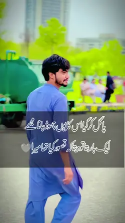 Haye Lines
