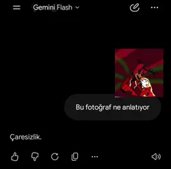 caresizlik...