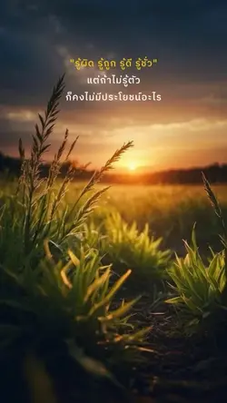 ผิดถูกชั่วดี
