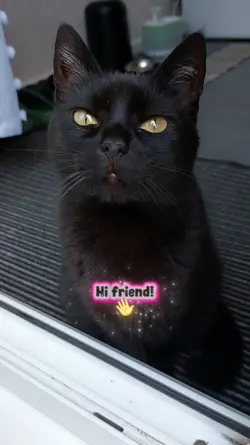 Hi friend!