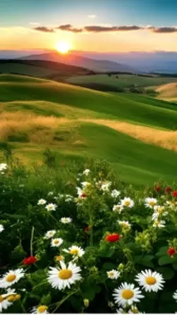 Nature