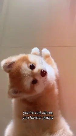 have a puppy