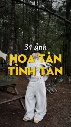 31 ảnh