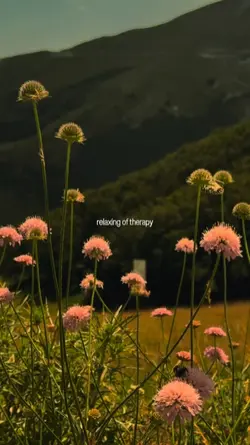 relaxing of therapy