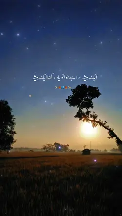 Urdu quotes