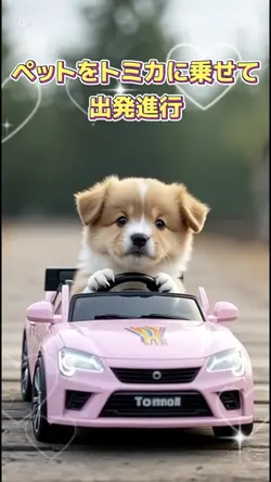 ペットがトミカを運転