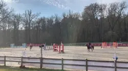 Pas de critique 