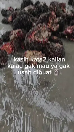 ntahlah
