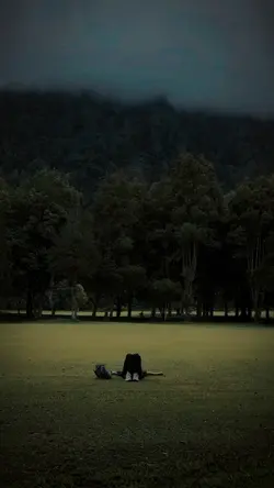 Tulus - Teh Hijau