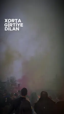 Rojda disa dilan 🙌🏼