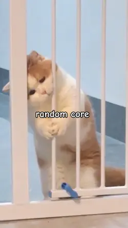 random core 