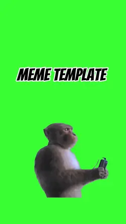 Monkey relaxing 