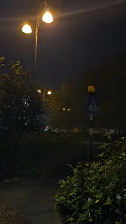 night is still young