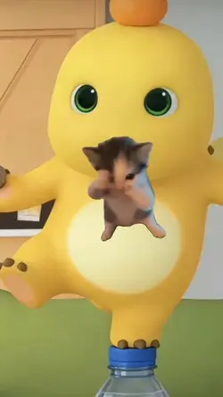 jj kucing joget