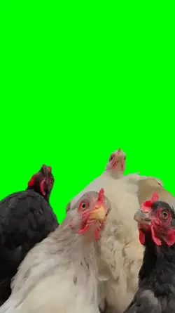 Chicken To The Max