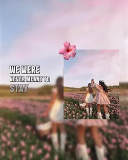 Never meant to stay