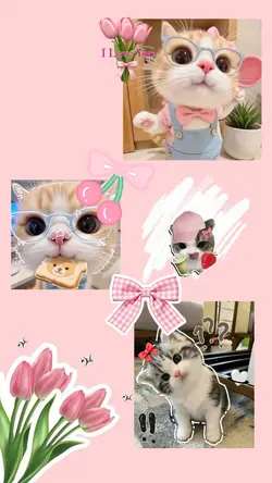 3 Photo | Cute 
