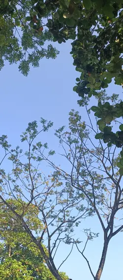 waktu