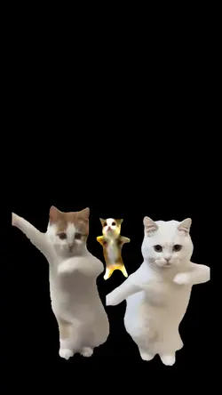 trio kucing 