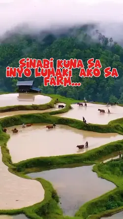 Farm