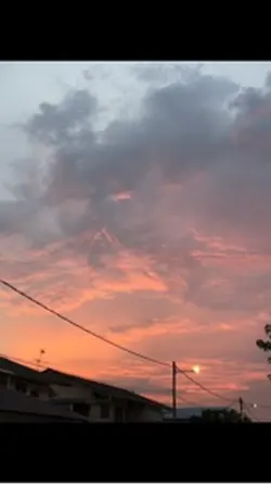 live一图