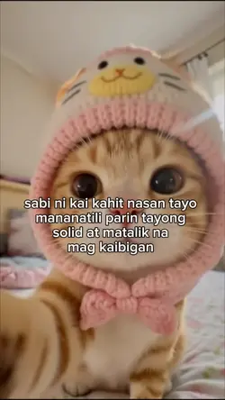 kai said