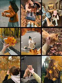 collage template 