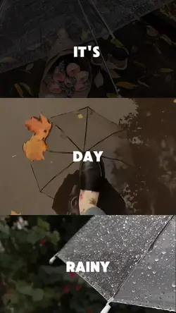 Vlog | Rainy Day