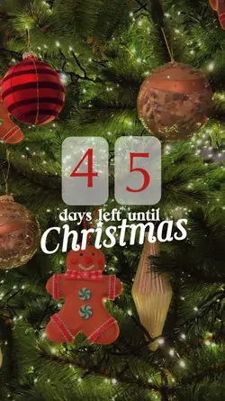 days until Christmas