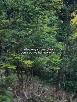 STORY KATA
