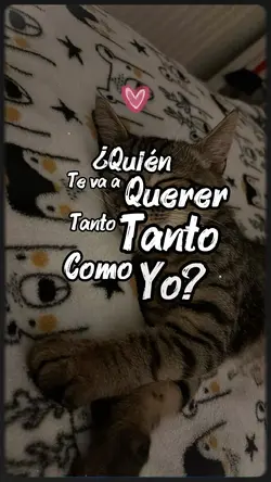 Gatito