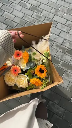mini vlog