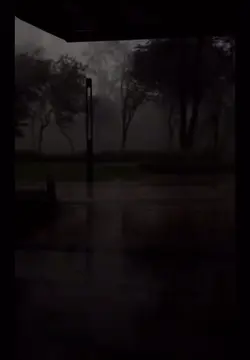 Rain