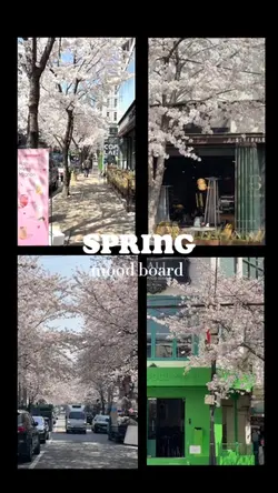 봄이 곧 온다🌸