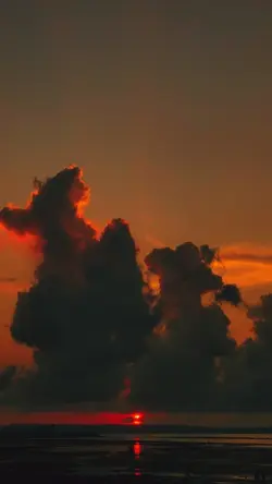 Filter senja