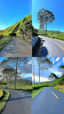 4 video collage HD 