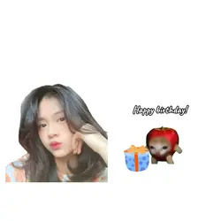 HBD Cat 2
