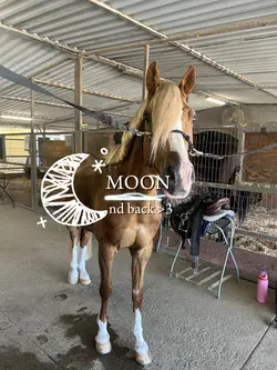moon nd back 💞🔒