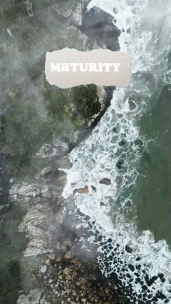 maturity 