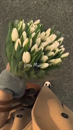 Little Moments 