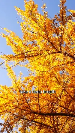 Take a deep breath