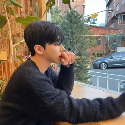 애상