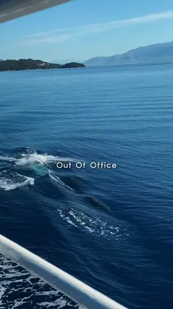 out of office