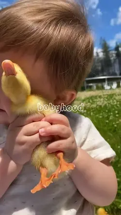 babyhood
