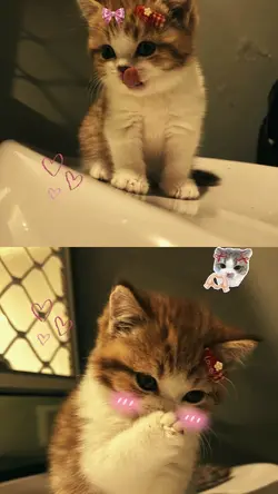cute